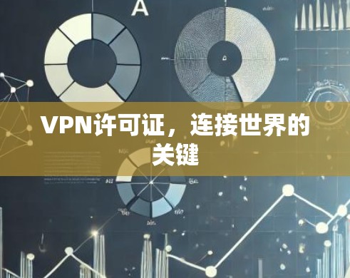 VPN许可证,连接世界的关键 VPN许可证,连接世界的关键