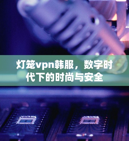 灯笼vpn韩服，数字时代下的时尚与安全