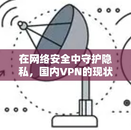 在网络安全中守护隐私,国内VPN的现状与未来 在网络安全中守护隐私,国内VPN的现状与未来