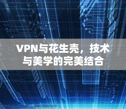 VPN与花生壳，技术与美学的完美结合