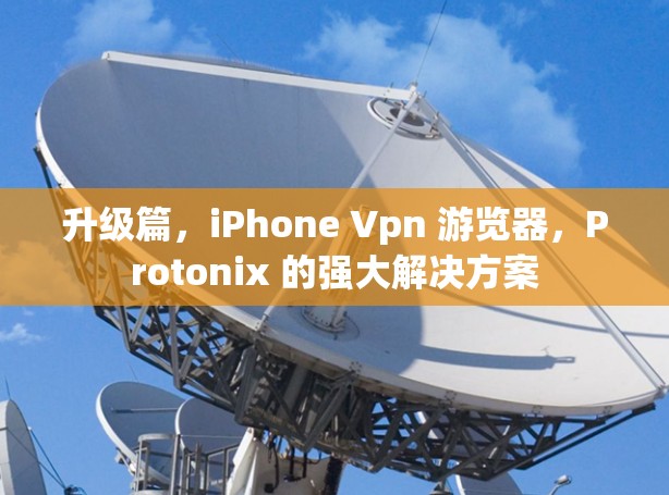 升级篇，iPhone Vpn 游览器，Protonix 的强大解决方案