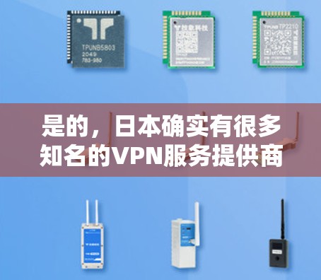 是的，日本确实有很多知名的VPN服务提供商。以下是日本一些知名的VPN服务
