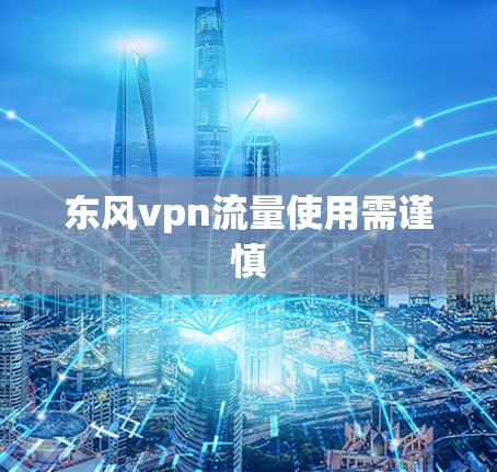 东风vpn流量使用需谨慎