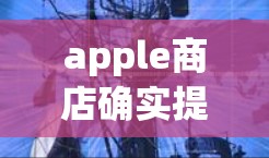 apple商店确实提供VPN服务。在苹果商店中，你可以找到多种VPN选项，如苹果VPN、S critter VPN等，这些服务都是基于苹果的网络协议运行，提供安全的VPN连接