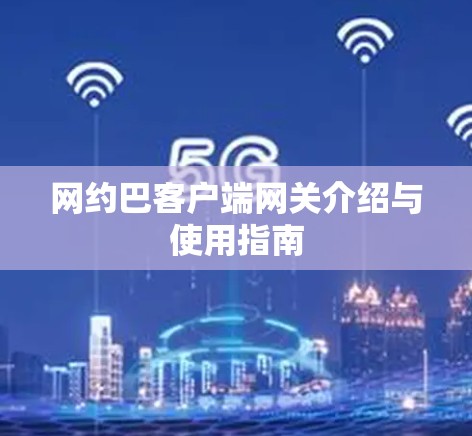 网约巴客户端网关介绍与使用指南