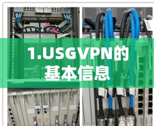 1.USGVPN的基本信息