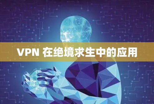 VPN 在绝境求生中的应用