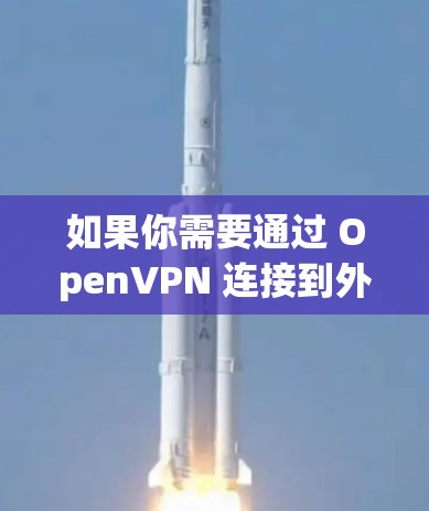 如果你需要通过 OpenVPN 连接到外设服务器（如 Web Server 或其他服务器）你可以按照以下步骤进行
