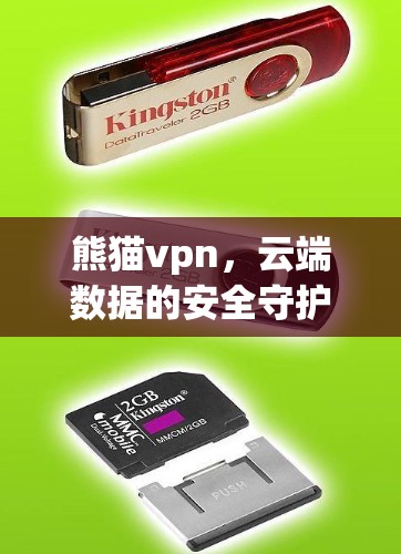 熊猫vpn，云端数据的安全守护者