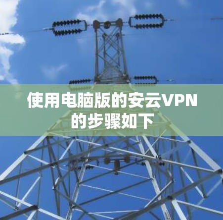使用电脑版的安云VPN的步骤如下