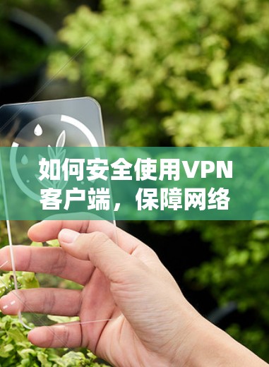 如何安全使用VPN客户端，保障网络通信