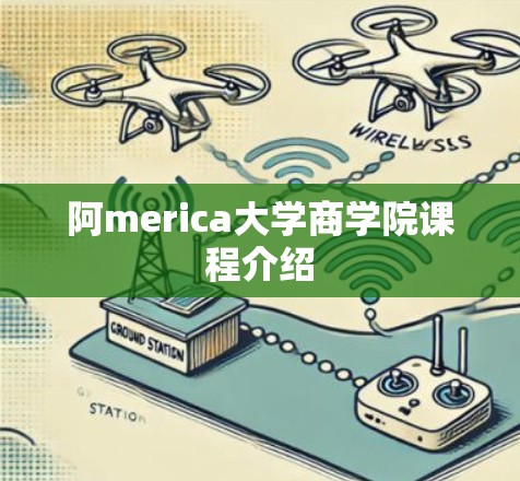 阿merica大学商学院课程介绍