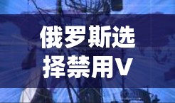俄罗斯选择禁用VPN可能涉及多个因素，以下是一些可能的原因