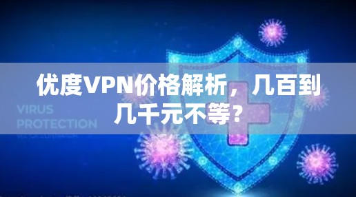 优度VPN价格解析，几百到几千元不等？