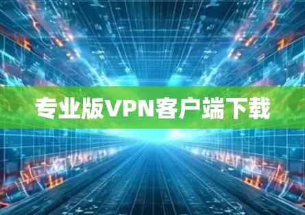 专业版VPN客户端下载