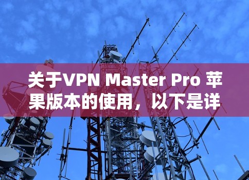 关于VPN Master Pro 苹果版本的使用，以下是详细的步骤和信息