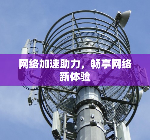 网络加速助力，畅享网络新体验