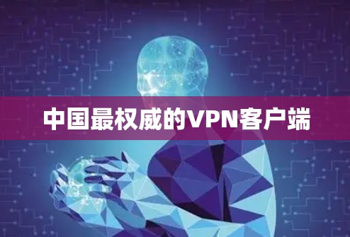 中国最权威的VPN客户端