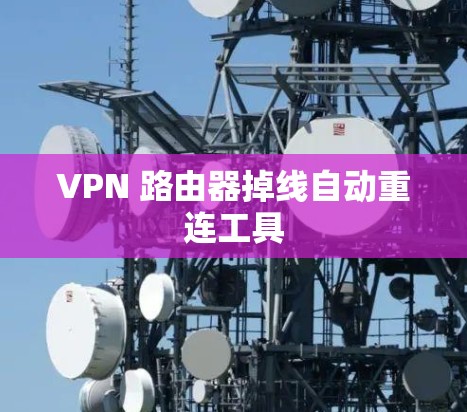 VPN 路由器掉线自动重连工具