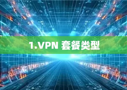 1.VPN 套餐类型