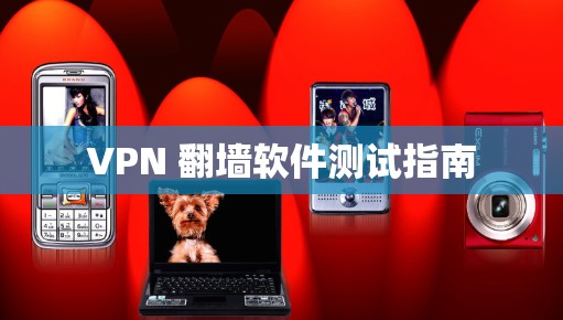 VPN 翻墙软件测试指南