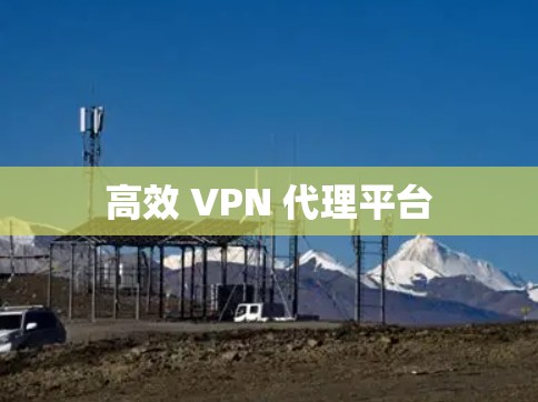 高效 VPN 代理平台