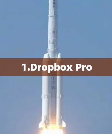 1.Dropbox Pro 1.Dropbox Pro
