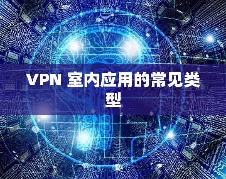 VPN 室内应用的常见类型 VPN 室内应用的常见类型