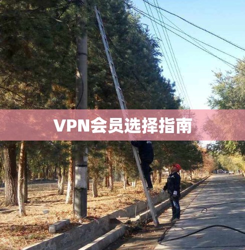 VPN会员选择指南
