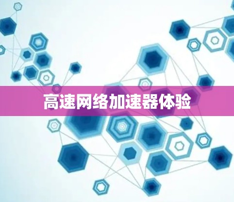 高速网络加速器体验