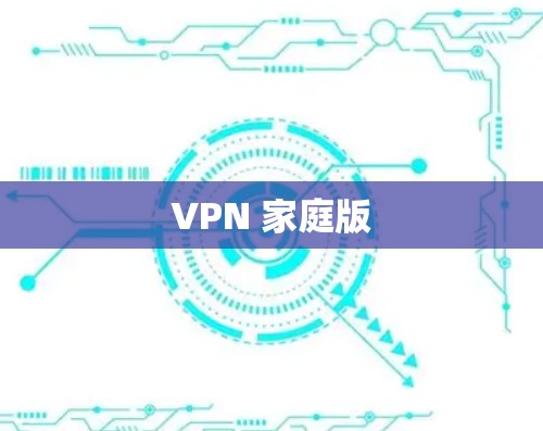VPN 家庭版