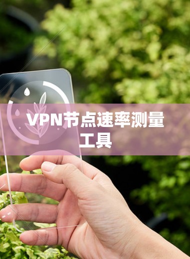VPN节点速率测量工具