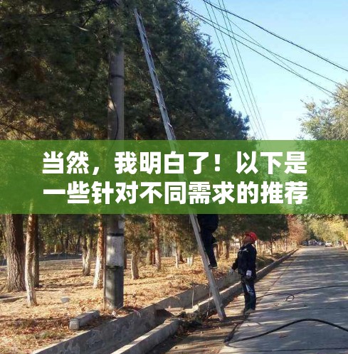 当然，我明白了！以下是一些针对不同需求的推荐VPN客户端