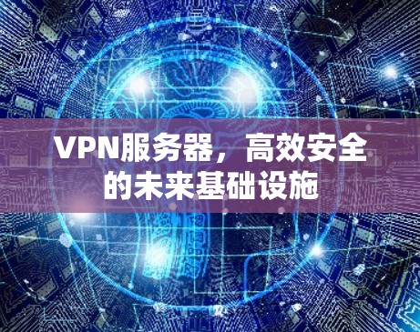 VPN服务器，高效安全的未来基础设施