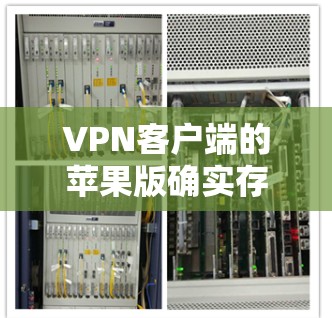 VPN客户端的苹果版确实存在，它通常被称为苹果版VPN工具。以下是关于这些工具的详细介绍