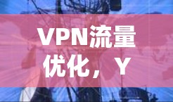 VPN流量优化，Your高效网络保障