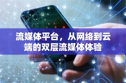流媒体平台，从网络到云端的双层流媒体体验